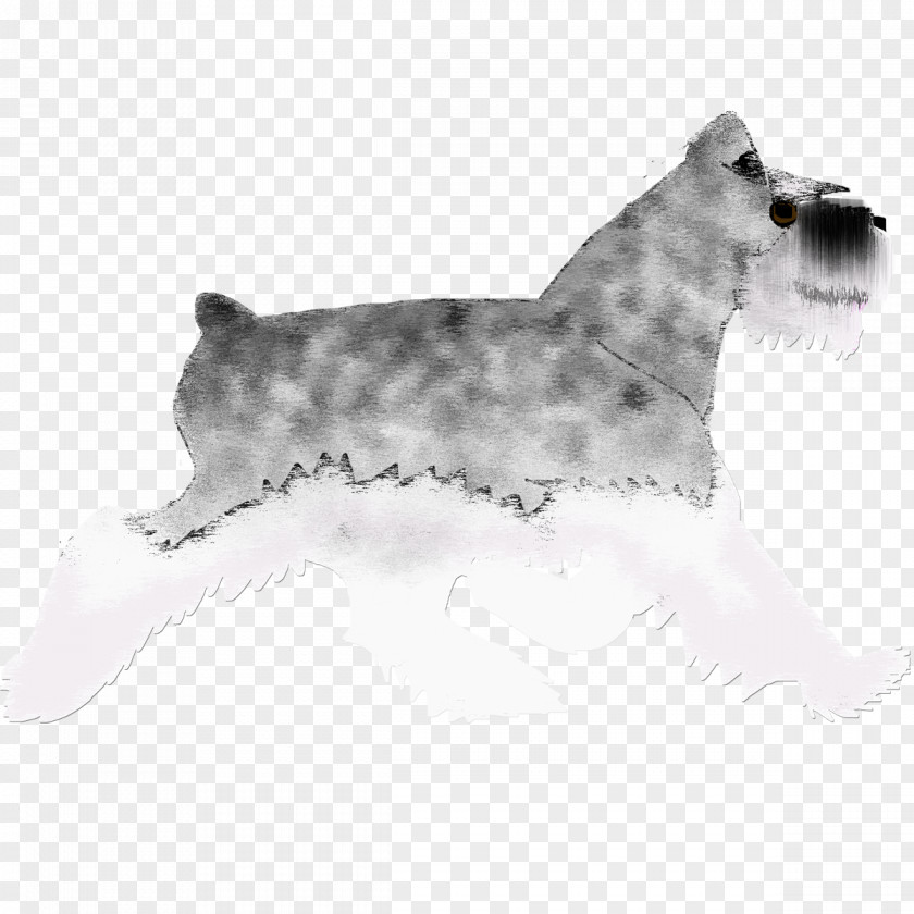 Salt Pepper Miniature Schnauzer Lakeland Terrier Cairn Glen Cesky PNG