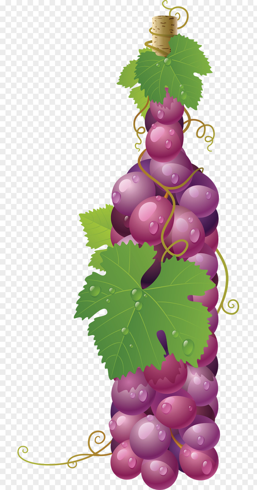 Wine Common Grape Vine Leaves PNG