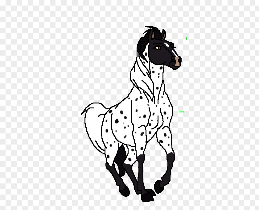 Artisan Spirit Dalmatian Dog Halter Non-sporting Group Mustang Breed PNG