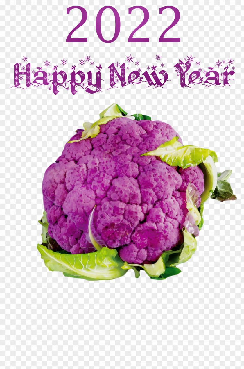 Cauliflower PNG