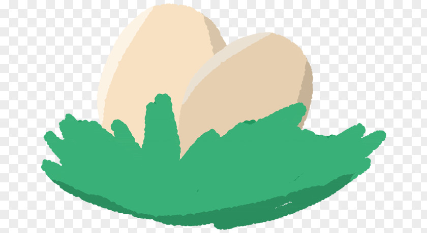 Common Ostrich Bird Egg Illustration Clip Art PNG