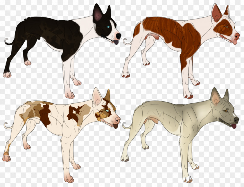 Crying Bulldog Dog Breed Whippet Ibizan Hound Art PNG