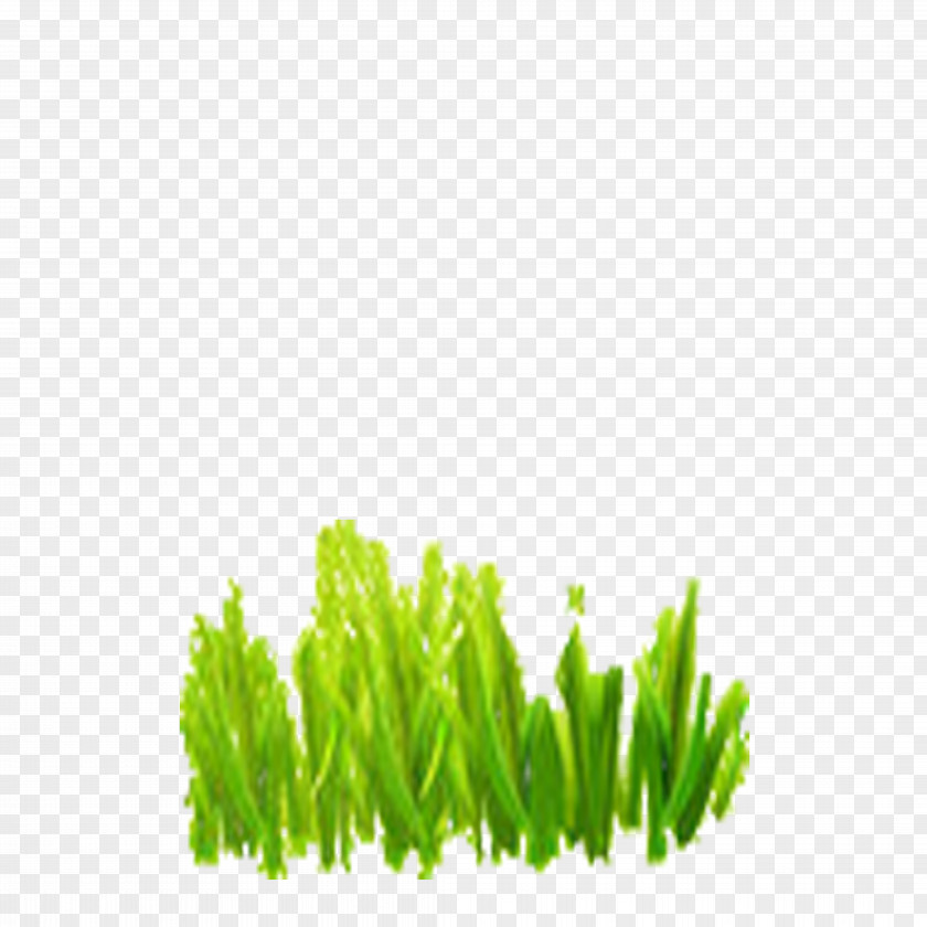 Green,Animation Animation A Download PNG