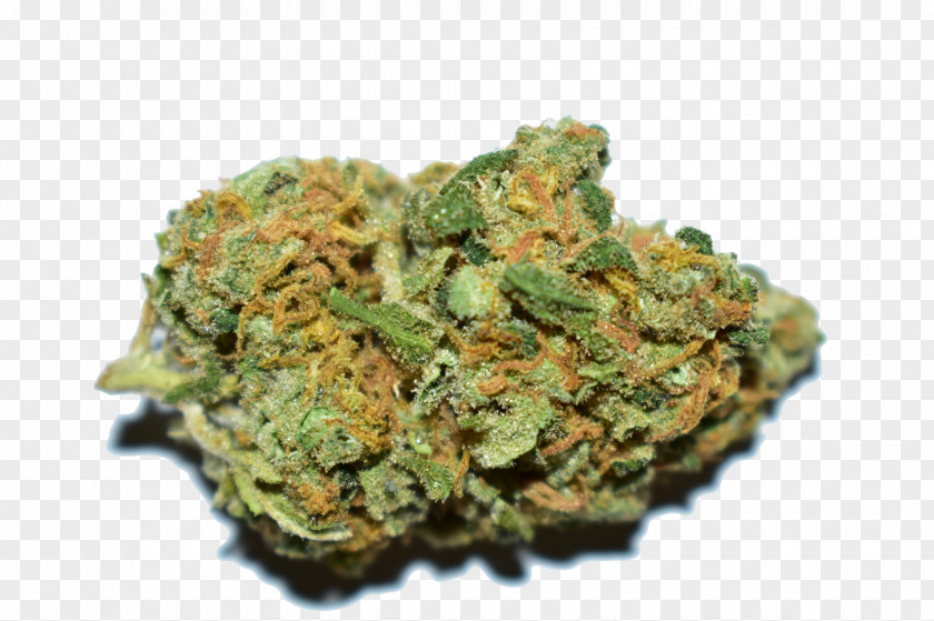Indica Weed Nuggets Cannabis Sativa Organa Wellness Centre Marijuana Hash Oil PNG