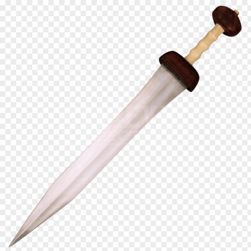Katana Ancient Rome Mainz Gladius Sword Spatha PNG