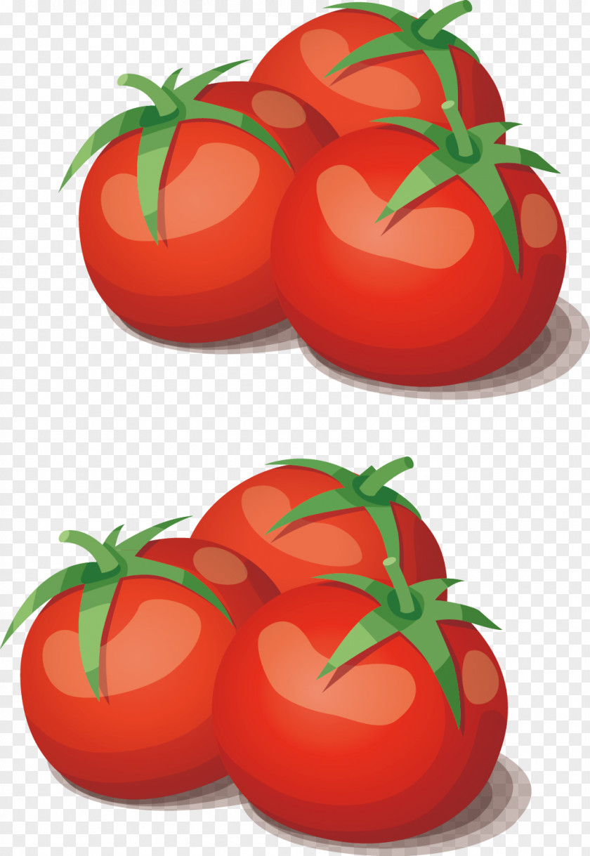 Tomatoes Combination Tomato Vegetable Cooking Food PNG