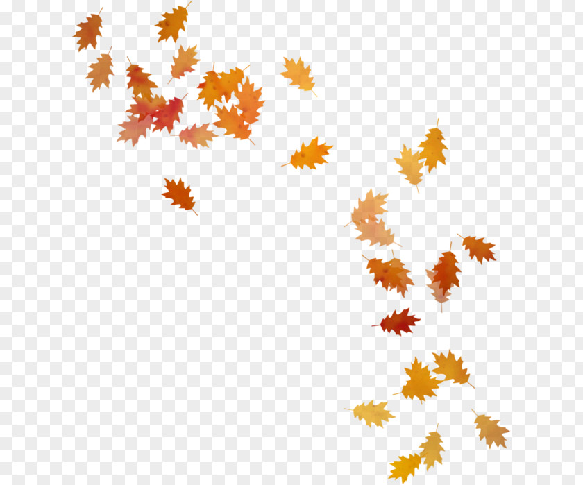 Autumn Clip Art Leaf Color Maple PNG