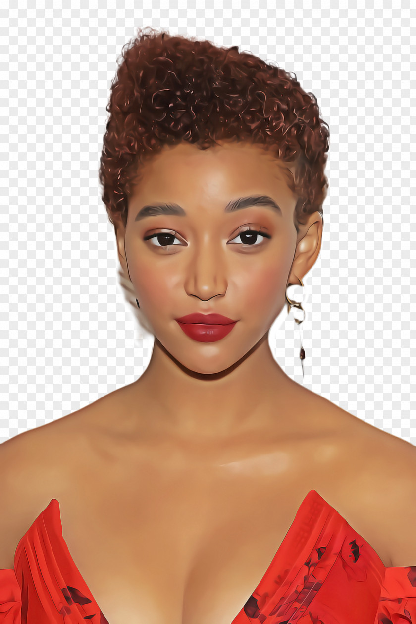 Beehive Lace Wig Amandla Stenberg Hairstyle Brown Hair Afro PNG