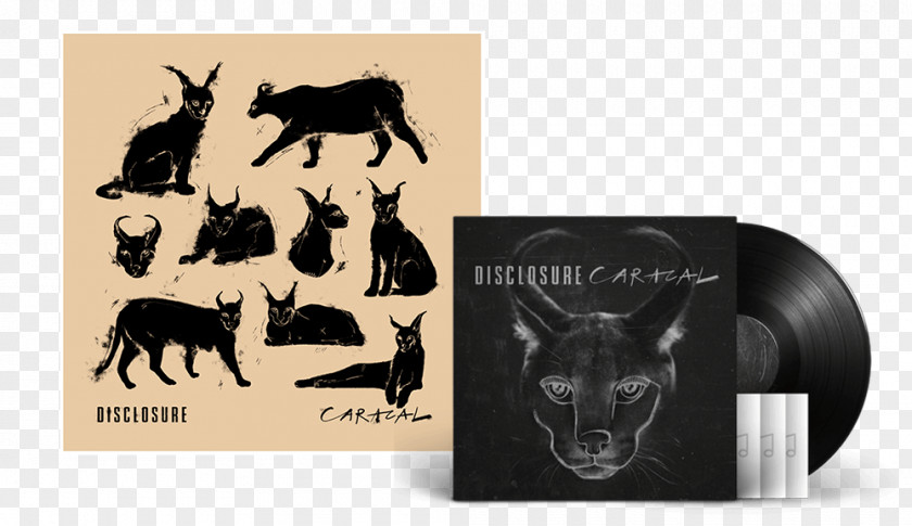 Booklet Caracal Compact Disc Disclosure Album Phonograph Record PNG