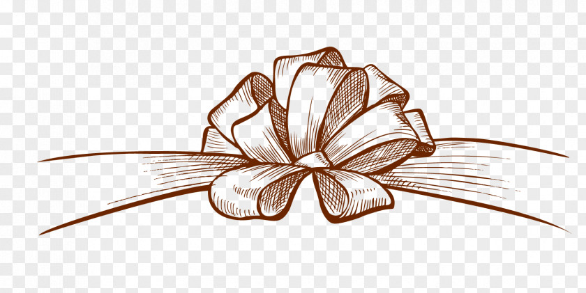Bow Butterfly Shoelace Knot Ribbon Drawing PNG