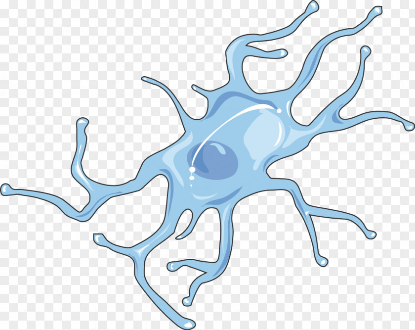 Brain Microglia Nervous System Cell Tissue Biology PNG