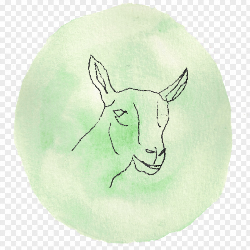 Capricorn Cattle Goat Hare Drawing Food PNG