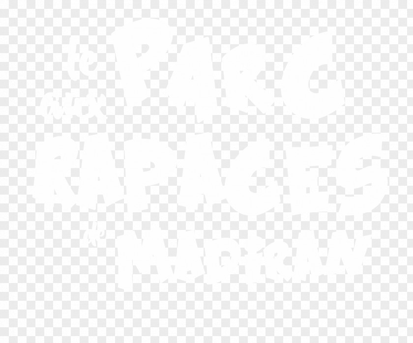 Design Line Font PNG