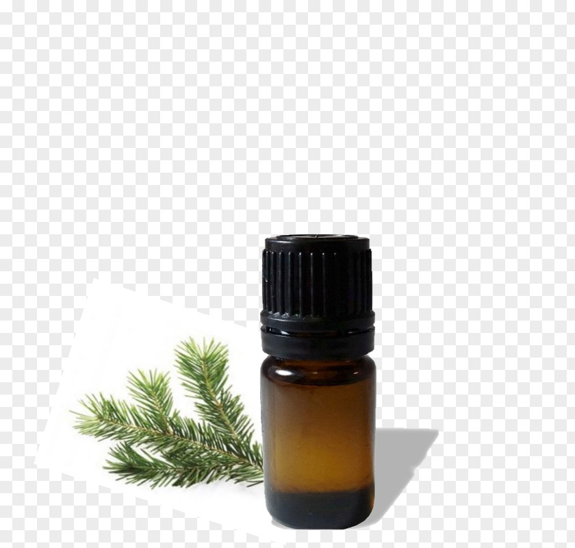 Earth Glass Bottle Liquid Essential Oil PNG