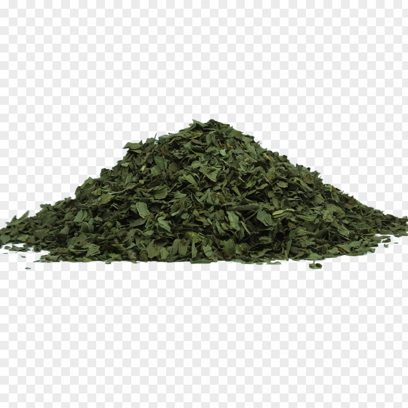 Herbs Tea Herb Holy Basil Food Drying Leaf PNG