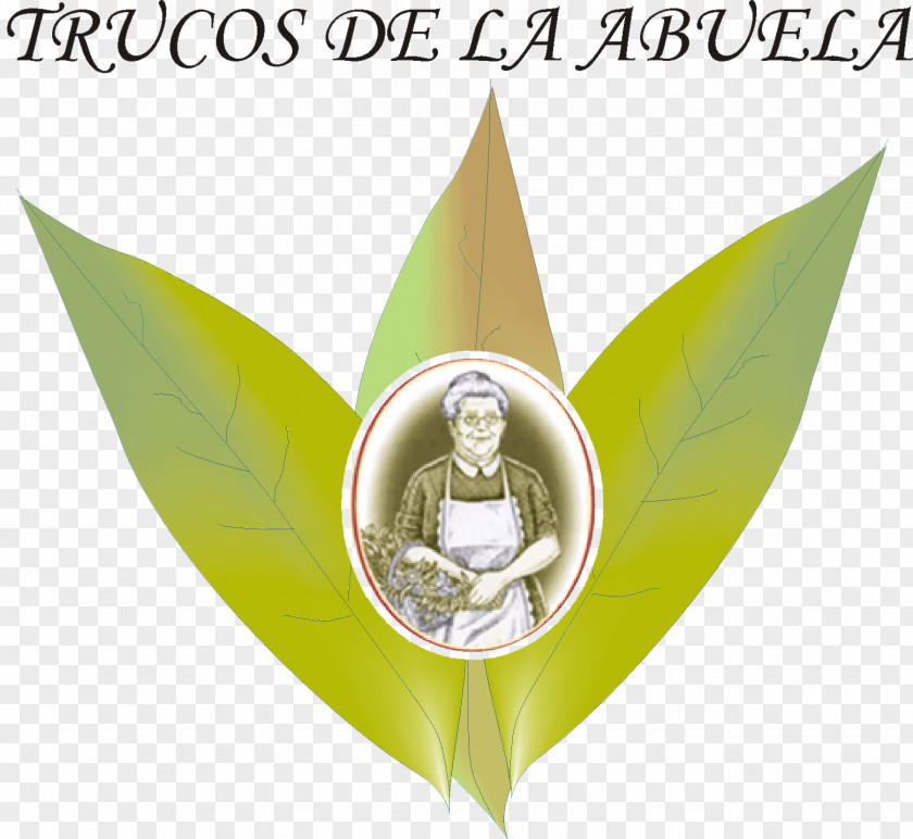 Truco Los Remedios De La Abuela Para Cada Estación Del Año Logo Brand Season Font PNG
