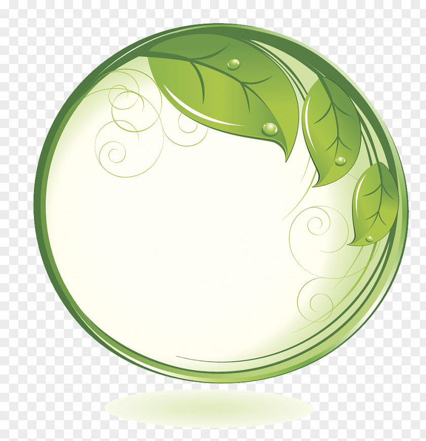 Vector Green Leafy Branches Around The Circle PNG