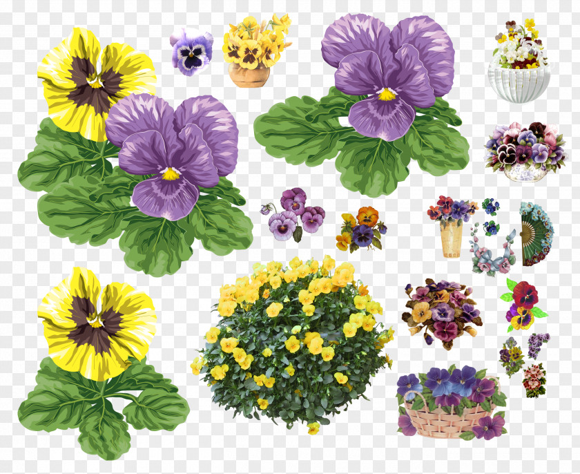 Violet Pansy Diary Annual Plant LiveInternet PNG