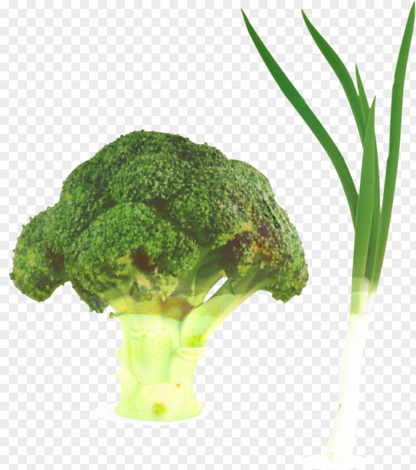 Flower Food Vegetables Cartoon PNG