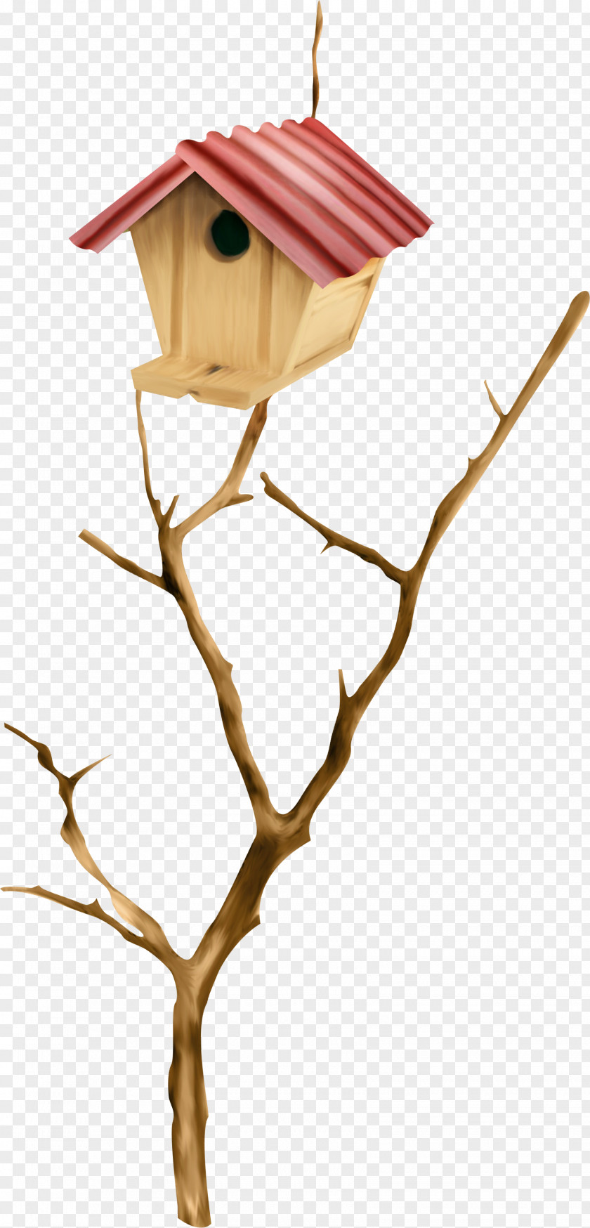 Nest On The Branches Bird Clip Art PNG