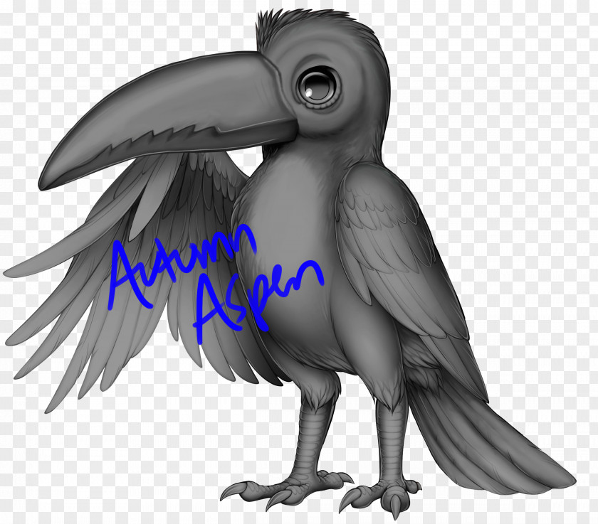 Toucan Bird Parrot Common Raven Beak PNG