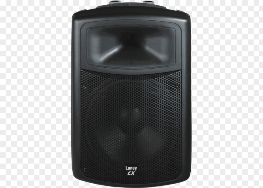 15 Años Subwoofer Loudspeaker Enclosure Laney Amplification Public Address Systems PNG