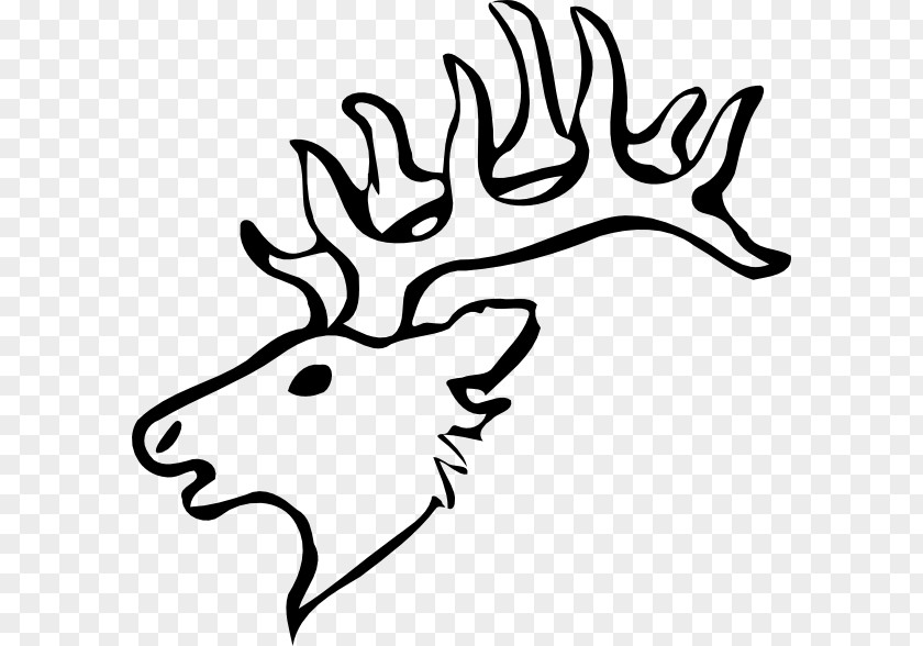 Antler White-tailed Deer Drawing Clip Art PNG