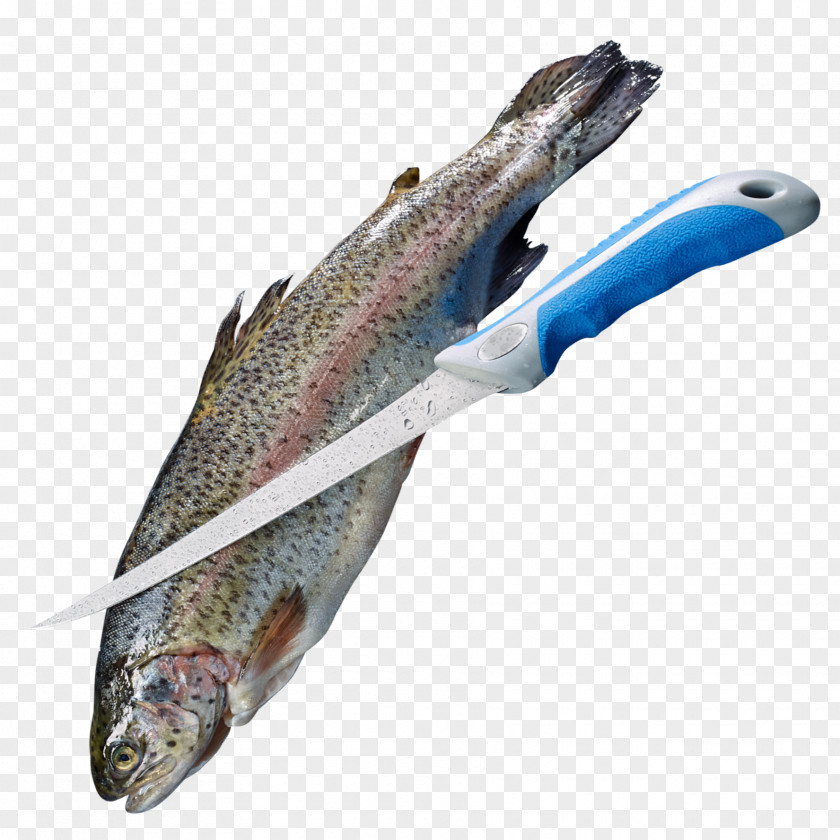 Askari Fishing Salmon Hunting Fish Products PNG