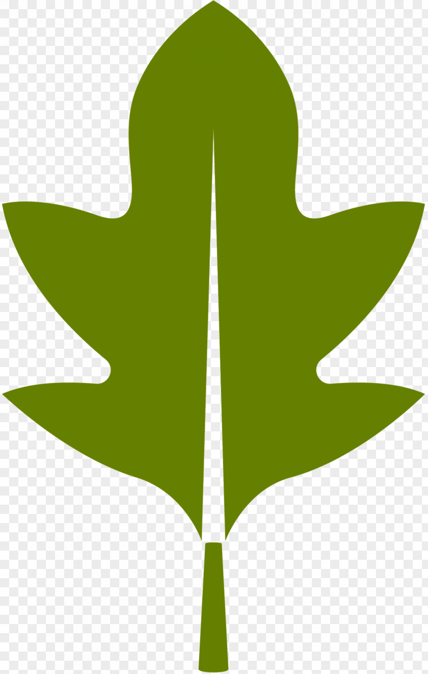 Clip Art Leaf Plant Stem Line Tree PNG