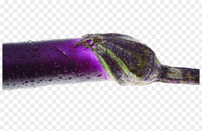 Eggplant With Water Drops Vegetable Drop PNG