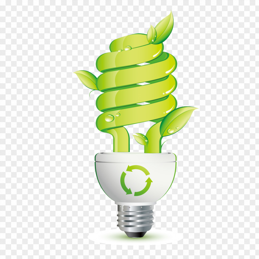 Light Bulb Incandescent Efficient Energy Use Saving Lamp Compact Fluorescent PNG