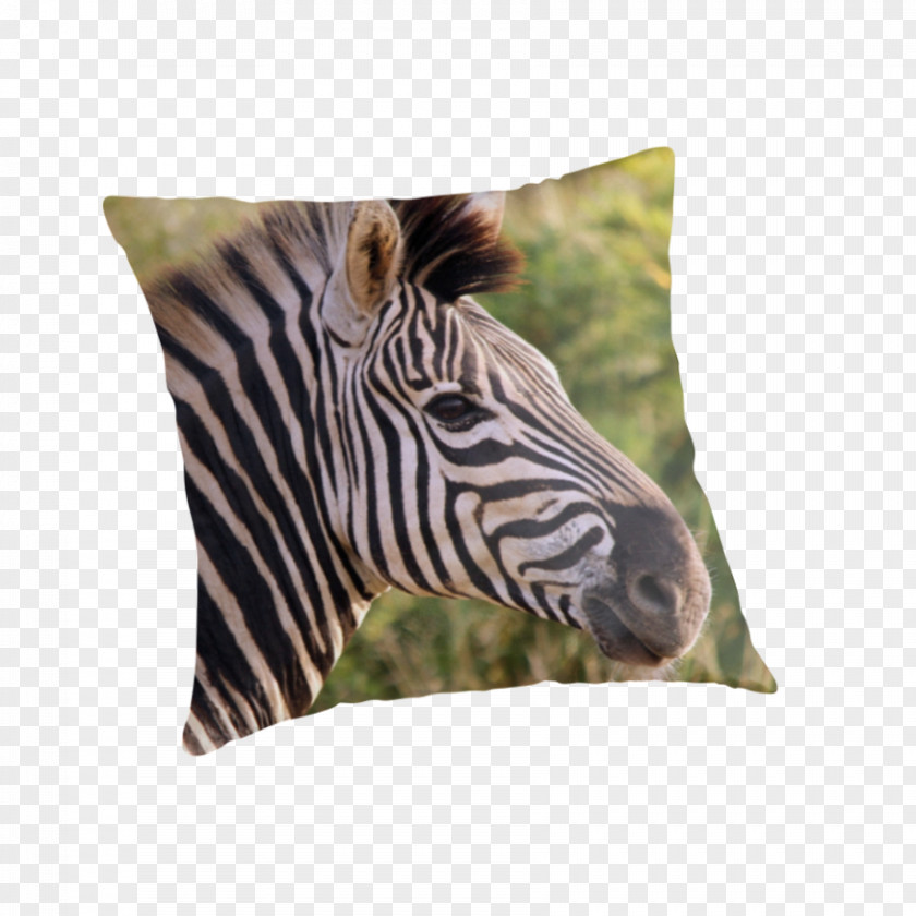Pillow Quagga Throw Pillows Cushion Wildlife PNG