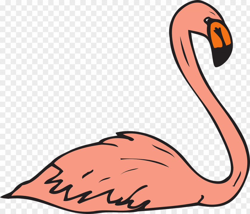 Pink Flamingos Flamingo Free Content Clip Art PNG