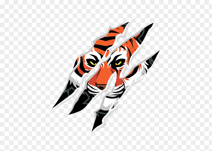 Tiger Claw Clip Art PNG