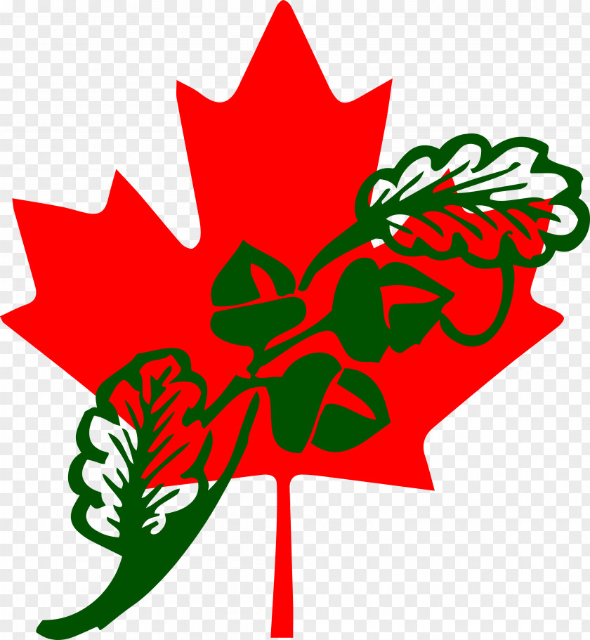Canada Flag Of Maple Leaf Canadian Red Ensign PNG