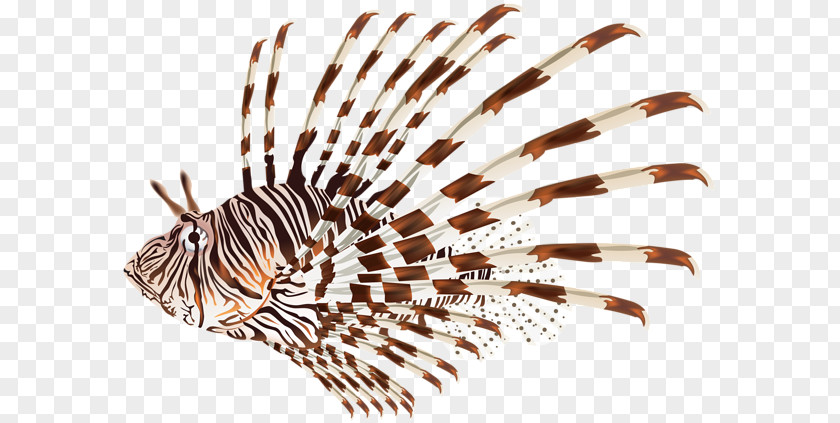Lionfish Red Invasive Species Clip Art PNG