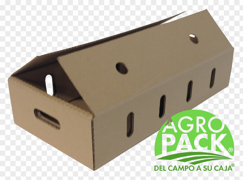 Box Packaging And Labeling Cardboard Guava Material PNG