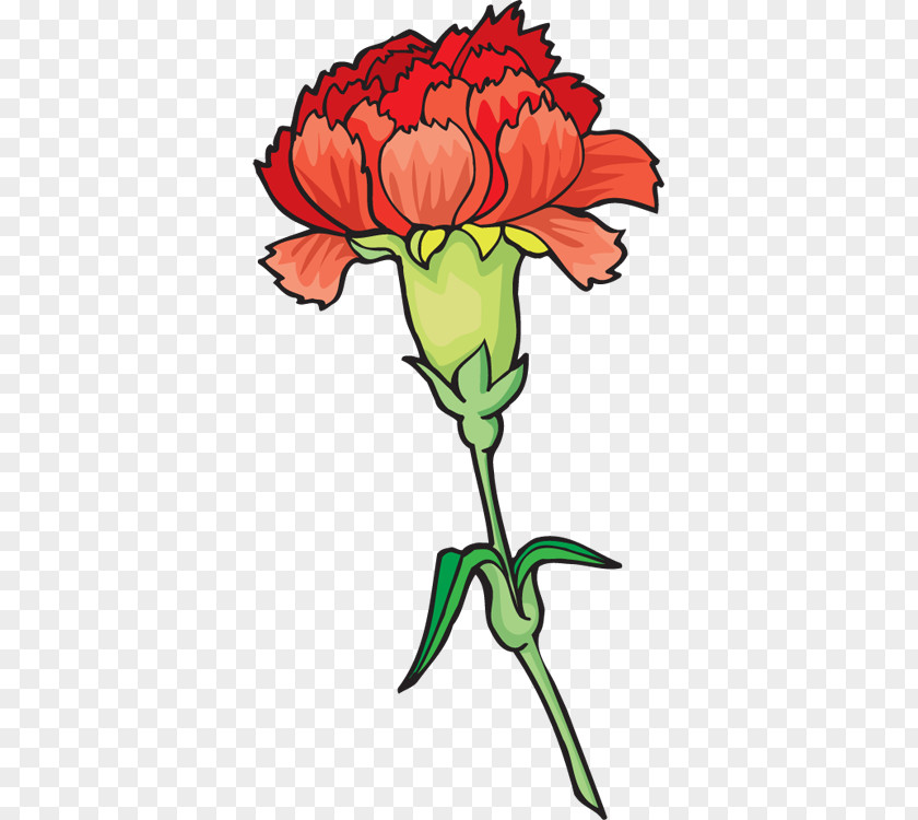 Carnation Cliparts Ohio State Flower Clip Art PNG