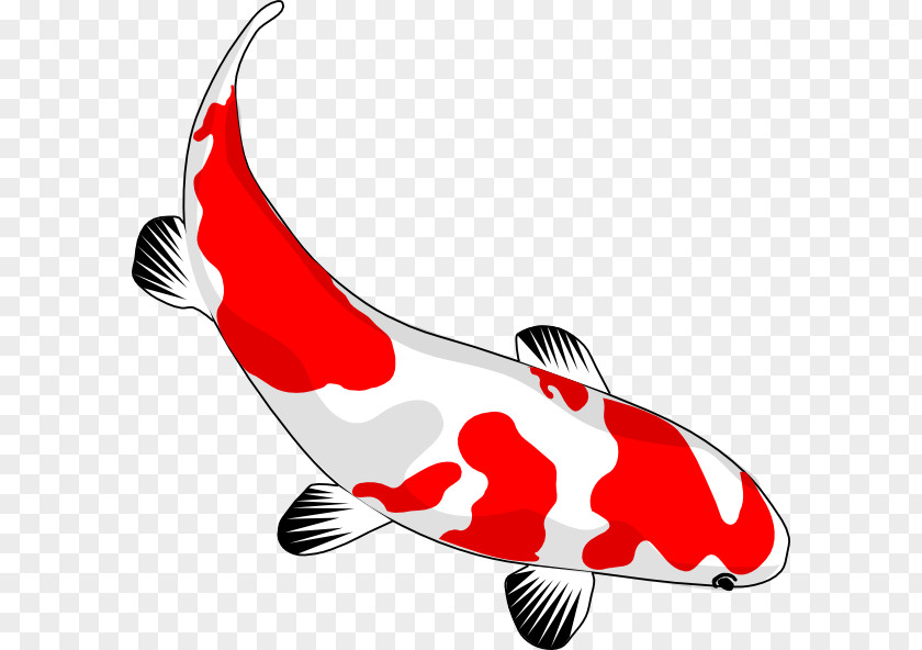 Cartoon Koi Fish Carassius Auratus Drawing Clip Art PNG