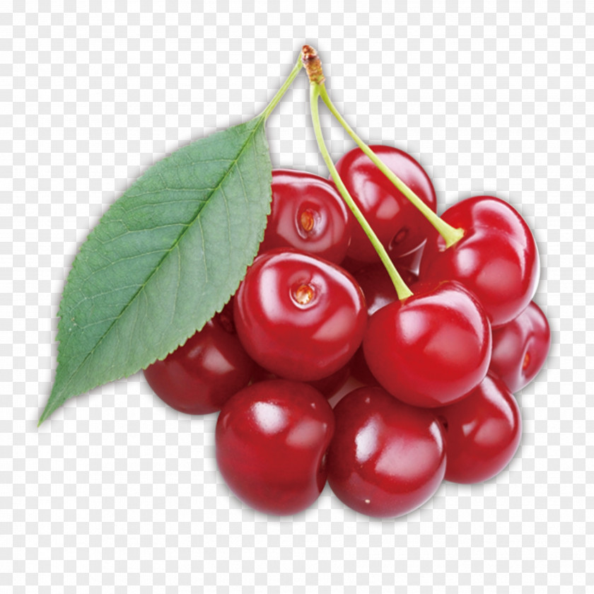 Cherry Lingonberry Auglis Cancer PNG
