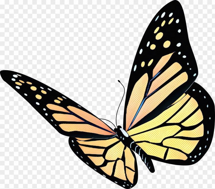 Clip Art Butterfly Image Desktop Wallpaper PNG