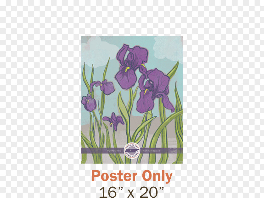 Juice Posters Tennessee Tulip Irises Poster PNG