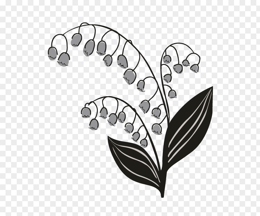 Lily Of The Valley Drawing Visual Arts Monochrome PNG