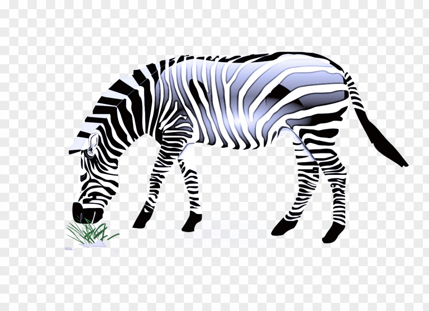 Mane Animal Figure Zebra Wildlife Black-and-white PNG