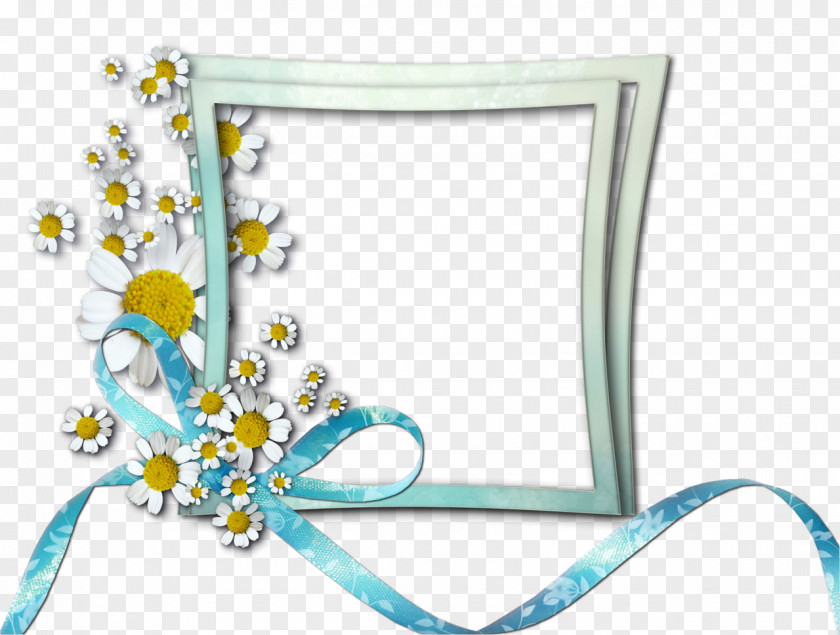 рамка Picture Frames Flower Photography Clip Art PNG