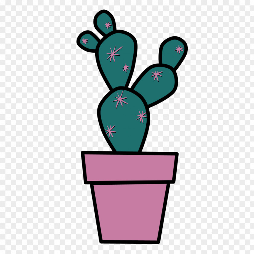 Succulent Plant Cactus PNG