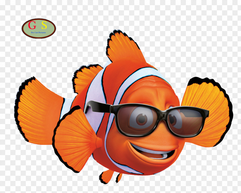 Cockroach Marlin Nemo Film Clip Art PNG