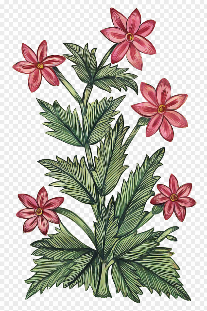 Floral Design PNG