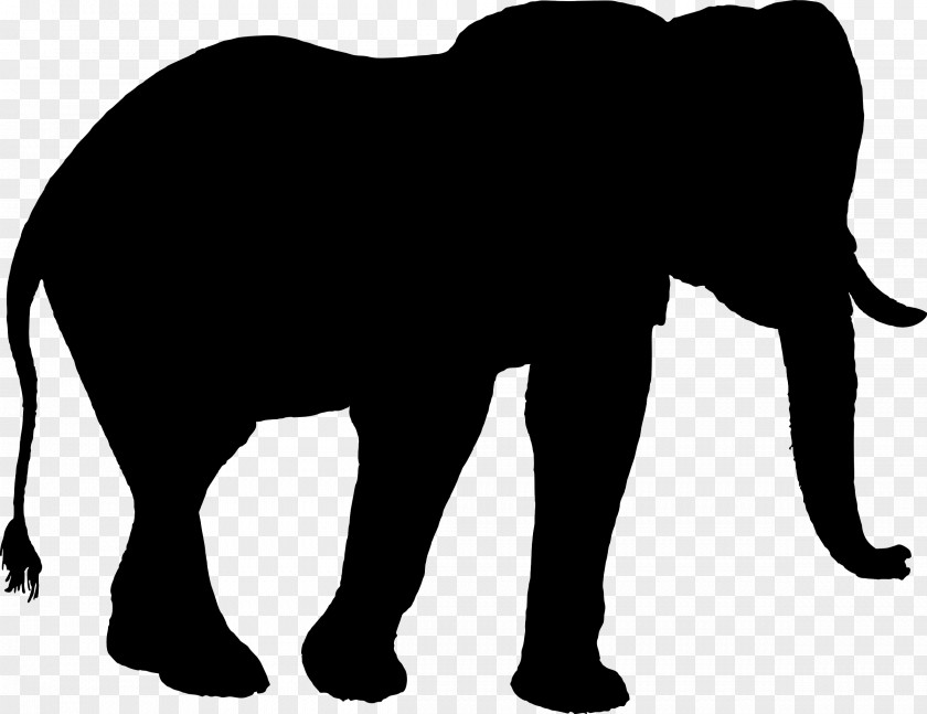 Indian Elephant African Silhouette Clip Art PNG