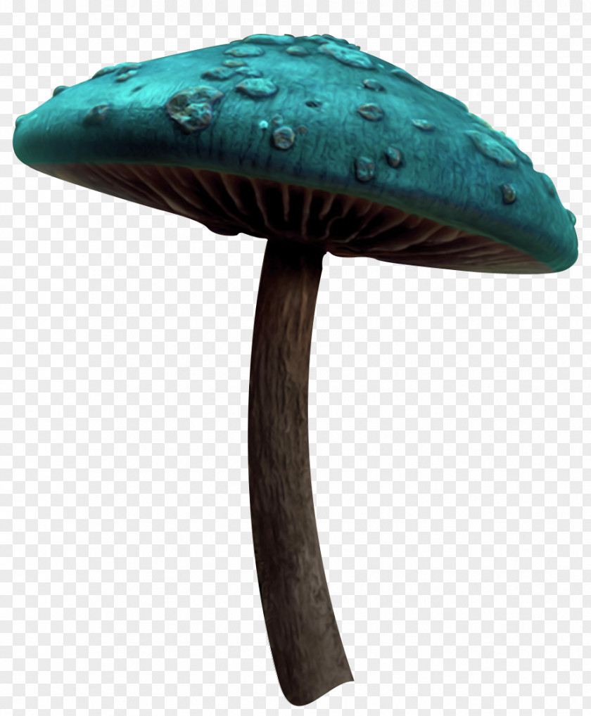 Mushroom Fairy Tale PNG